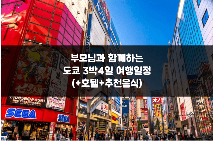 부모님과도쿄3박4일
